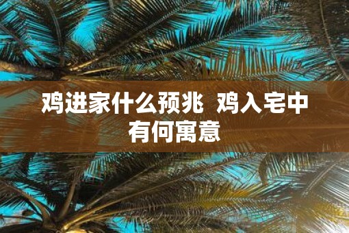 鸡进家什么预兆  鸡入宅中有何寓意