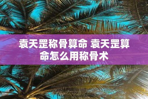 袁天罡称骨算命 袁天罡算命怎么用称骨术