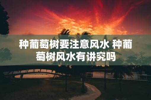 种葡萄树要注意风水 种葡萄树风水有讲究吗