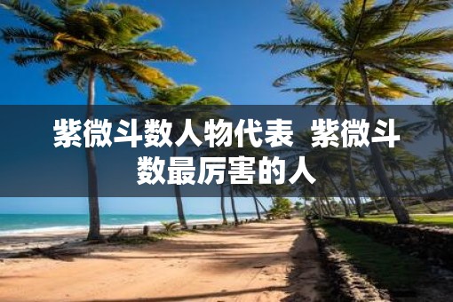 紫微斗数人物代表  紫微斗数最厉害的人