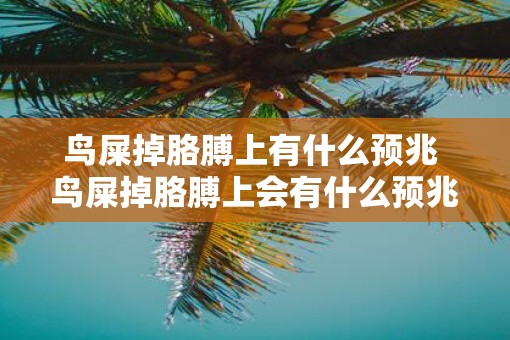 鸟屎掉胳膊上有什么预兆 鸟屎掉胳膊上会有什么预兆