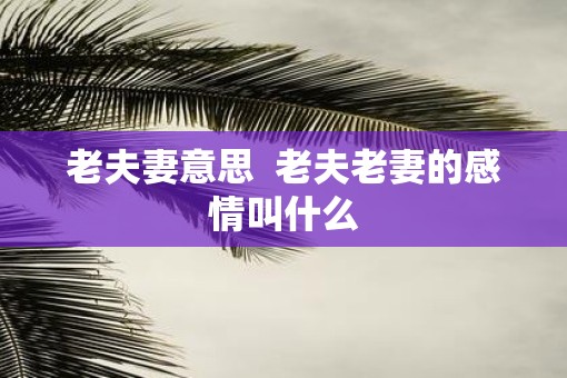 老夫妻意思  老夫老妻的感情叫什么