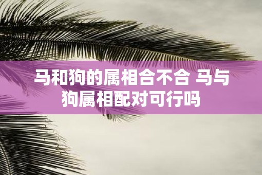 马和狗的属相合不合 马与狗属相配对可行吗