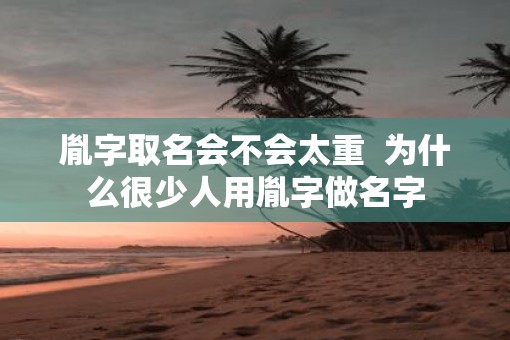 胤字取名会不会太重  为什么很少人用胤字做名字