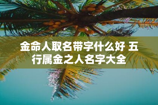 金命人取名带字什么好 五行属金之人名字大全