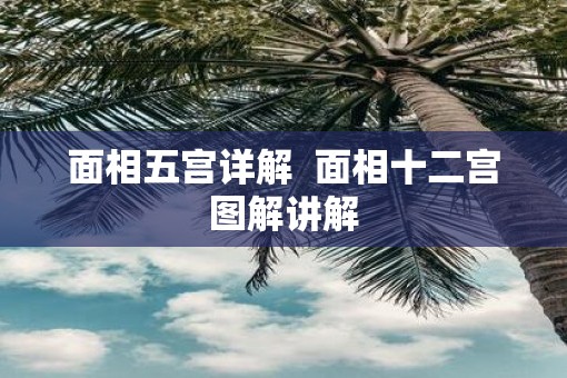 面相五宫详解  面相十二宫图解讲解