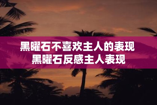 黑曜石不喜欢主人的表现 黑曜石反感主人表现 黑曜石不喜欢主人的表现 黑曜石反感主人表现