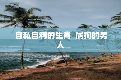 自私自利的生肖  属狗的男人