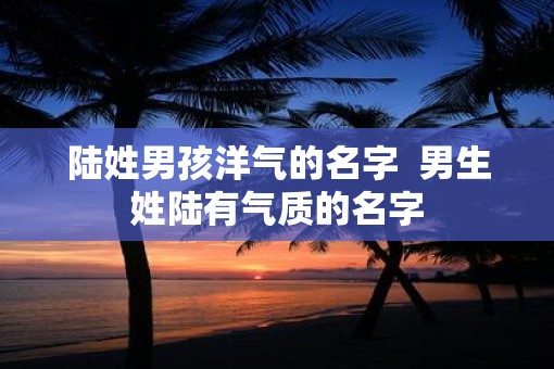 陆姓男孩洋气的名字  男生姓陆有气质的名字