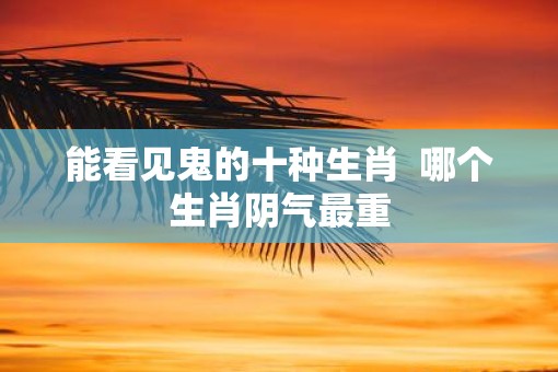 能看见鬼的十种生肖  哪个生肖阴气最重