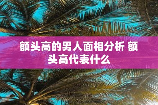 额头高的男人面相分析 额头高代表什么