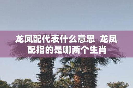 龙凤配代表什么意思  龙凤配指的是哪两个生肖