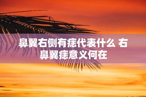 鼻翼右侧有痣代表什么 右鼻翼痣意义何在