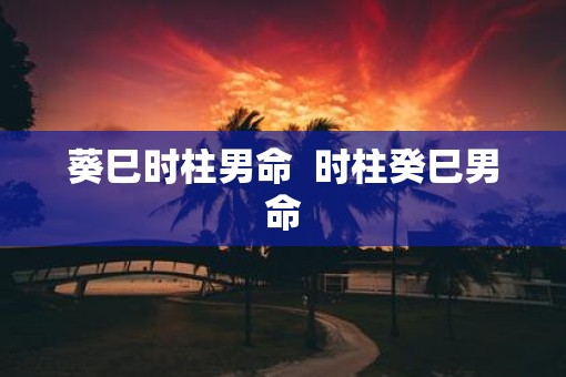 葵巳时柱男命  时柱癸巳男命