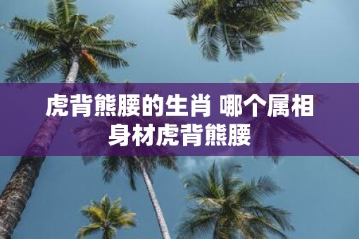 虎背熊腰的生肖 哪个属相身材虎背熊腰