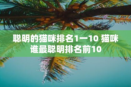 聪明的猫咪排名1一10 猫咪谁最聪明排名前10