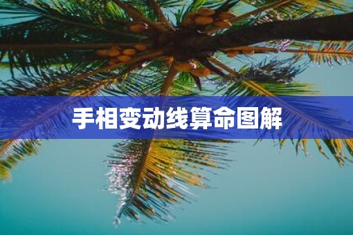 手相变动线算命图解