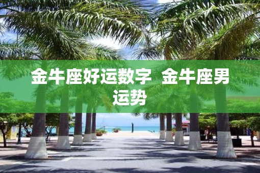 金牛座好运数字  金牛座男运势
