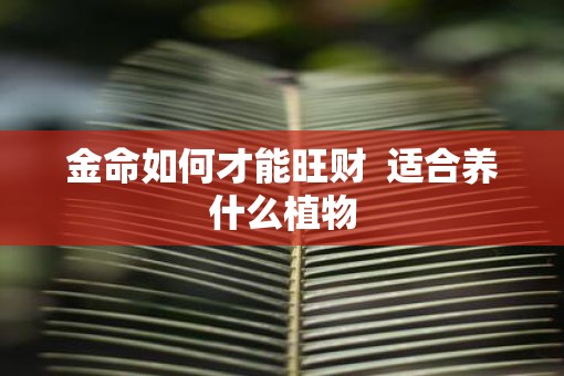金命如何才能旺财  适合养什么植物