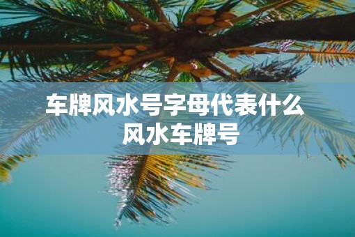 车牌风水号字母代表什么  风水车牌号