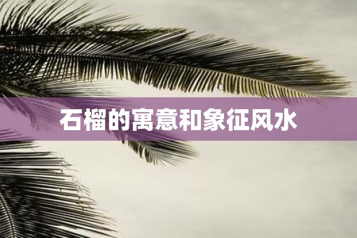 石榴的寓意和象征风水