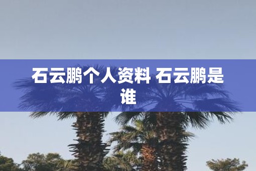 石云鹏个人资料 石云鹏是谁