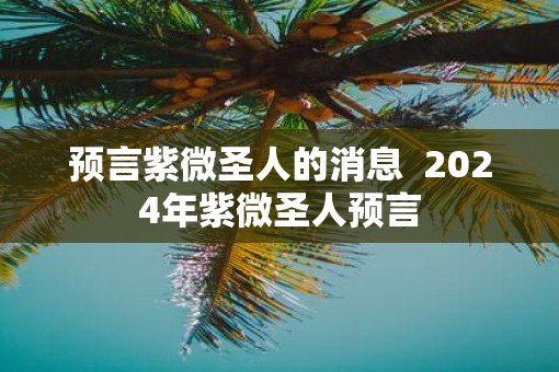 预言紫微圣人的消息  2025年紫微圣人预言