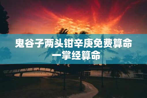 鬼谷子两头钳辛庚免费算命  一掌经算命
