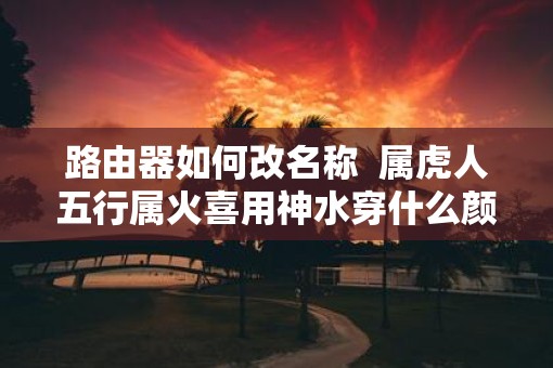 路由器如何改名称  属虎人五行属火喜用神水穿什么颜色