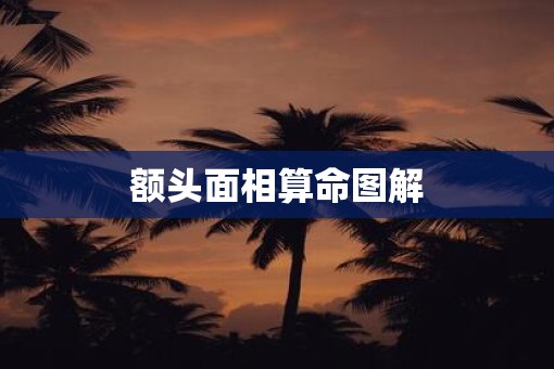 额头面相算命图解