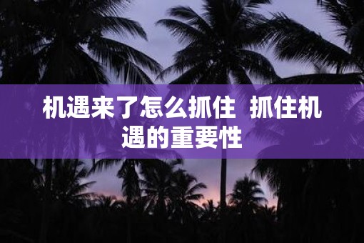 机遇来了怎么抓住  抓住机遇的重要性
