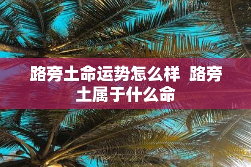 路旁土命运势怎么样  路旁土属于什么命
