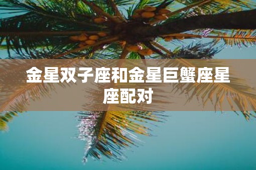 金星双子座和金星巨蟹座星座配对