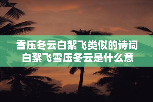 雪压冬云白絮飞类似的诗词 白絮飞雪压冬云是什么意思