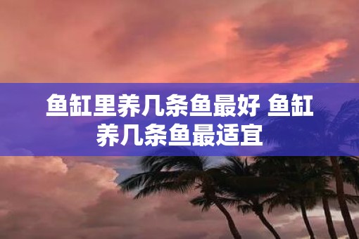 鱼缸里养几条鱼最好 鱼缸养几条鱼最适宜