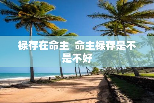 禄存在命主  命主禄存是不是不好