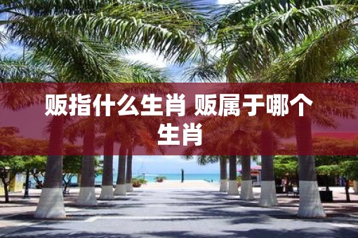 贩指什么生肖 贩属于哪个生肖