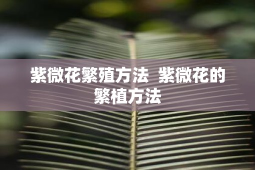 紫微花繁殖方法  紫微花的繁植方法