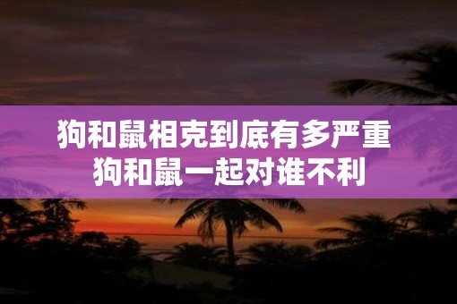 狗和鼠相克到底有多严重 狗和鼠一起对谁不利