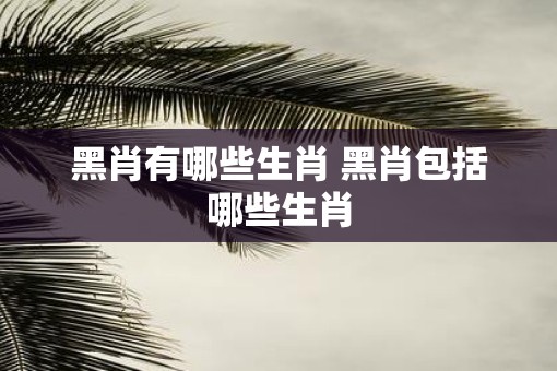 黑肖有哪些生肖 黑肖包括哪些生肖