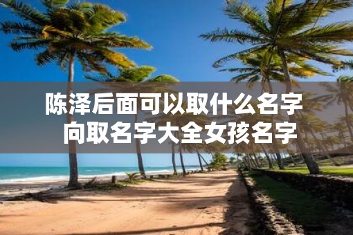 陈泽后面可以取什么名字  向取名字大全女孩名字