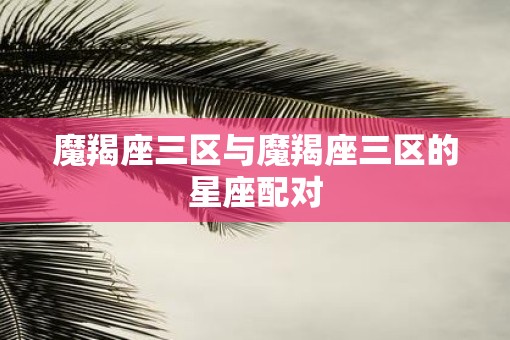 魔羯座三区与魔羯座三区的星座配对