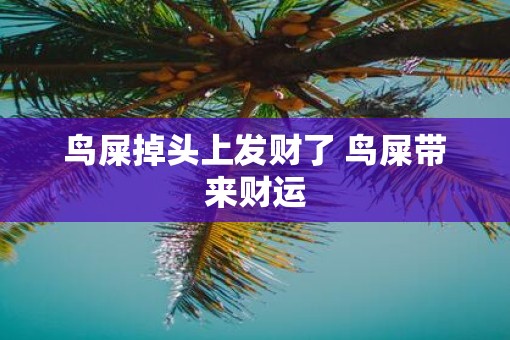 鸟屎掉头上发财了 鸟屎带来财运