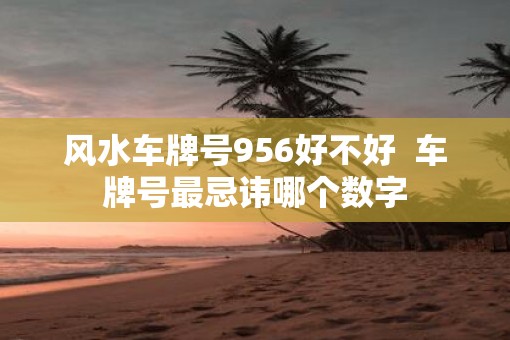 风水车牌号956好不好  车牌号最忌讳哪个数字