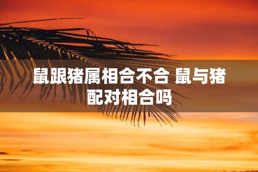 鼠跟猪属相合不合 鼠与猪配对相合吗