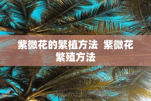 紫微花的繁植方法  紫微花繁殖方法