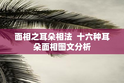 面相之耳朵相法  十六种耳朵面相图文分析