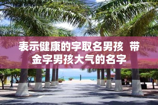 表示健康的字取名男孩  带金字男孩大气的名字