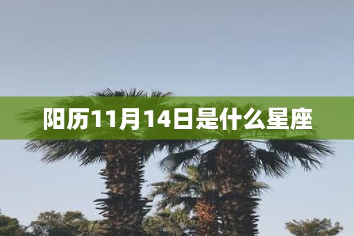 阳历11月14日是什么星座