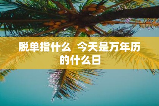 脱单指什么  今天是万年历的什么日
